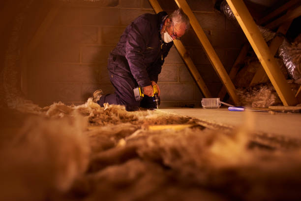 Types of Insulation We Offer in Mill Creek, WA